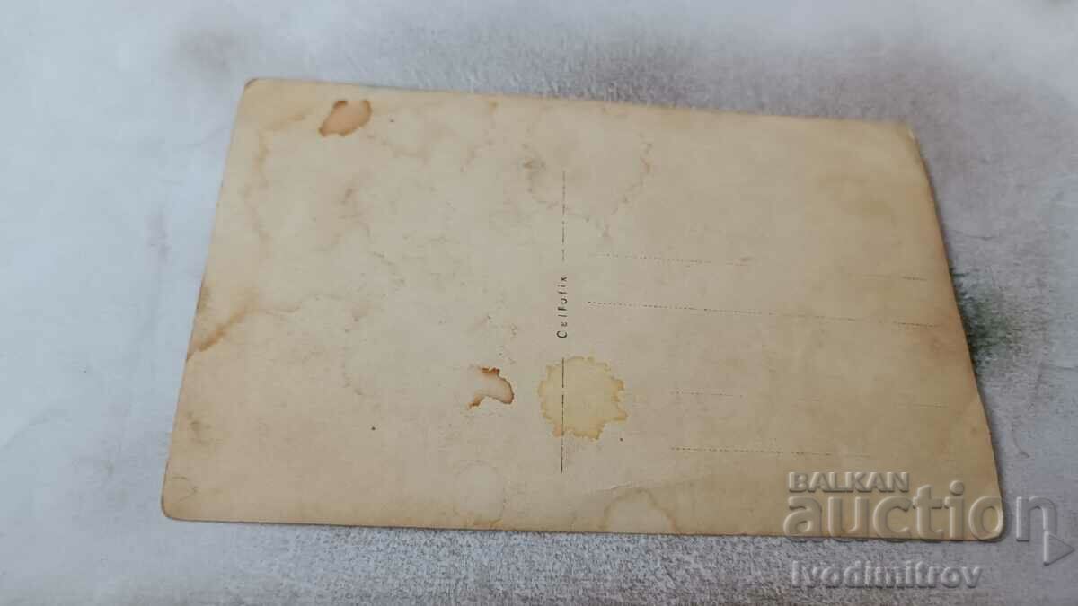 Photo Four young girls in a pine forest with price 1.85 BGN | € 0.95 Photo Four young girls in a pine forest with price 1.85 BGN | € 0.95