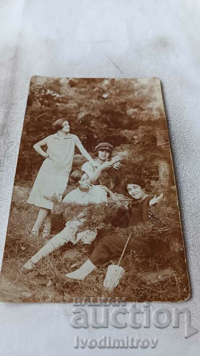 Снимка Четири млади момичета в борова гора