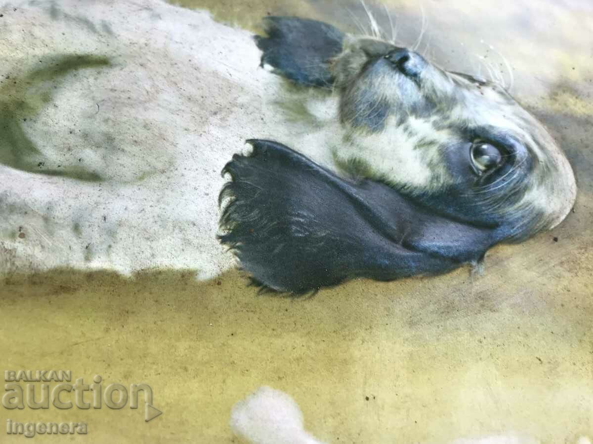 Auction  PANEL PICTURE RELIEF PRINT FRAME