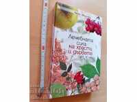 Η θεραπευτική δύναμη των θάμνων και των δέντρων Κέιτι Ιβάνοβα