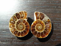 39.75 k natural ammonite Jurassic 2 pcs. a pair