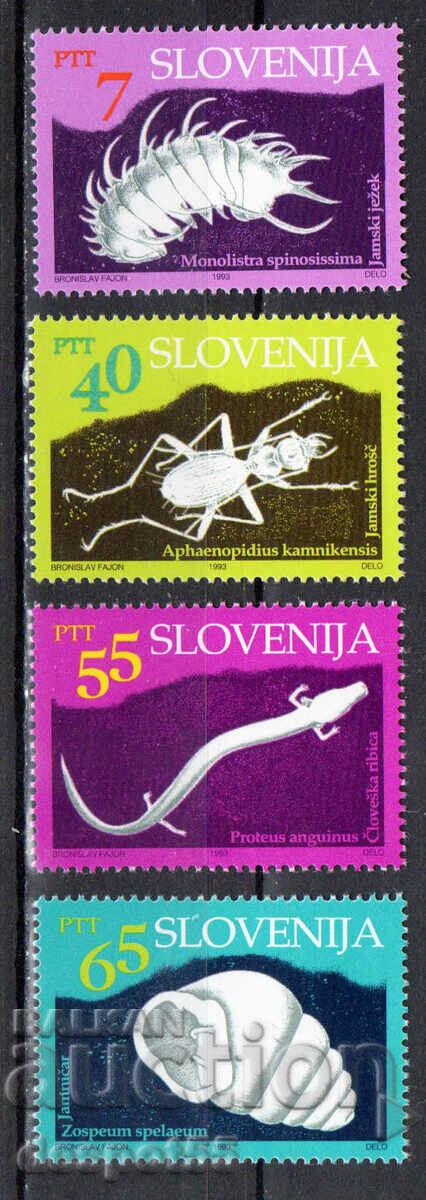 1993. Slovenia. Animale din peșteră.