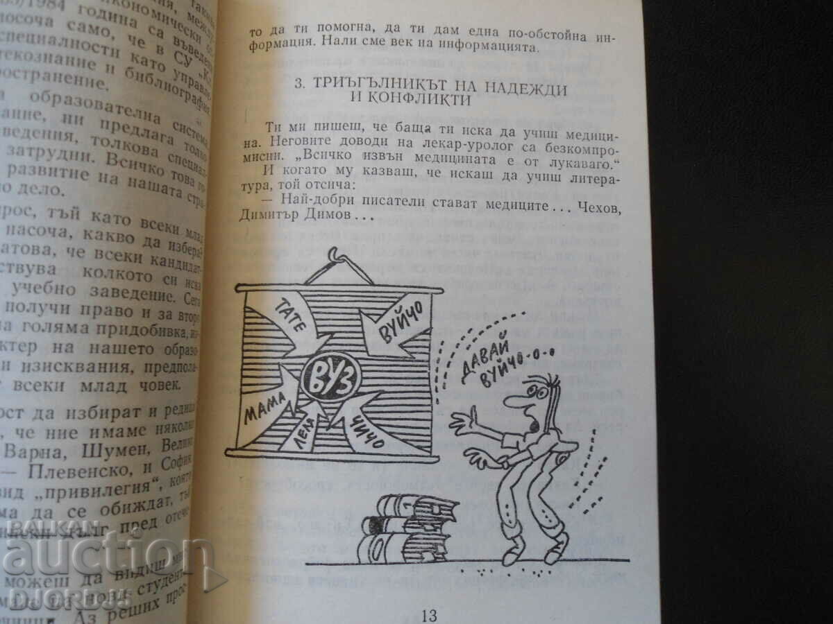 Auction A triangle of hopes and conflicts Auction A triangle of hopes and conflicts
