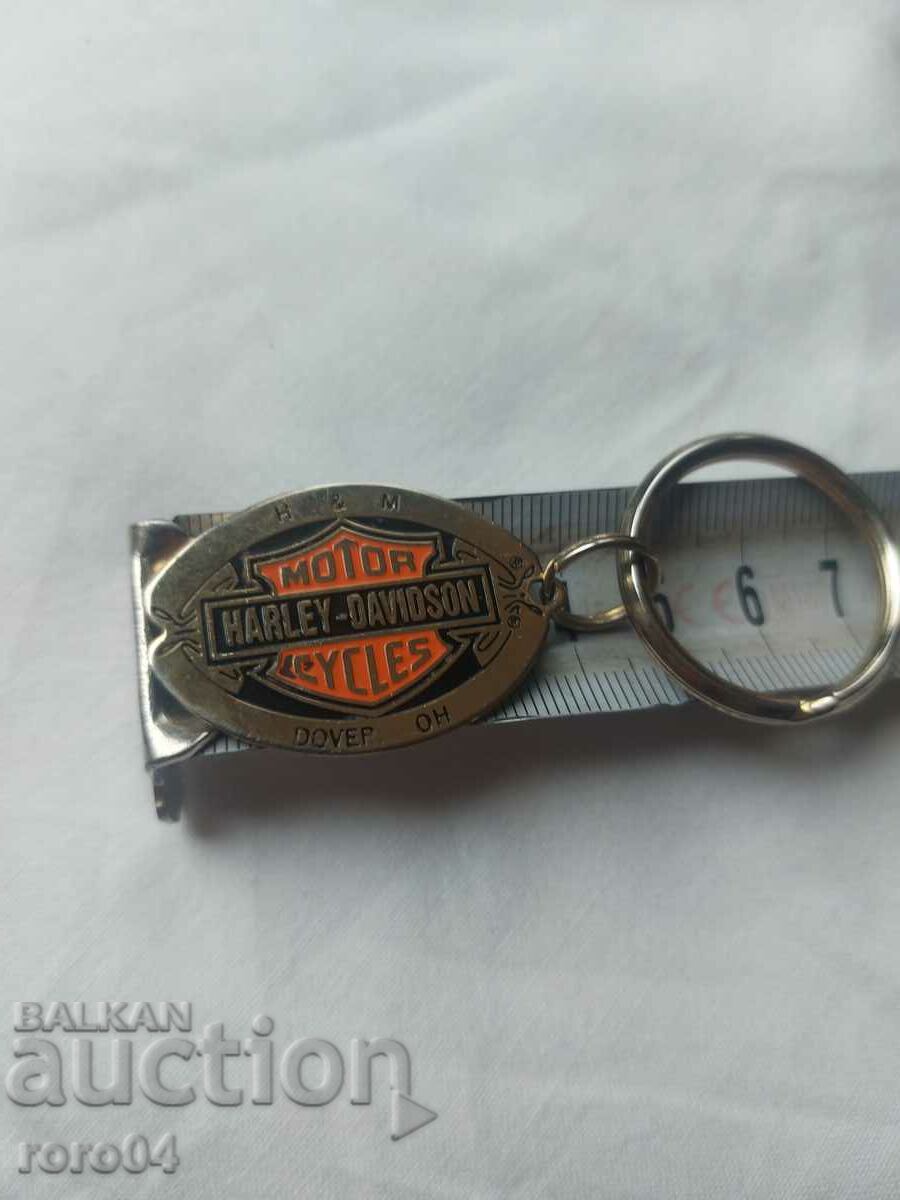 HARLEY - DAVIDSON - 6