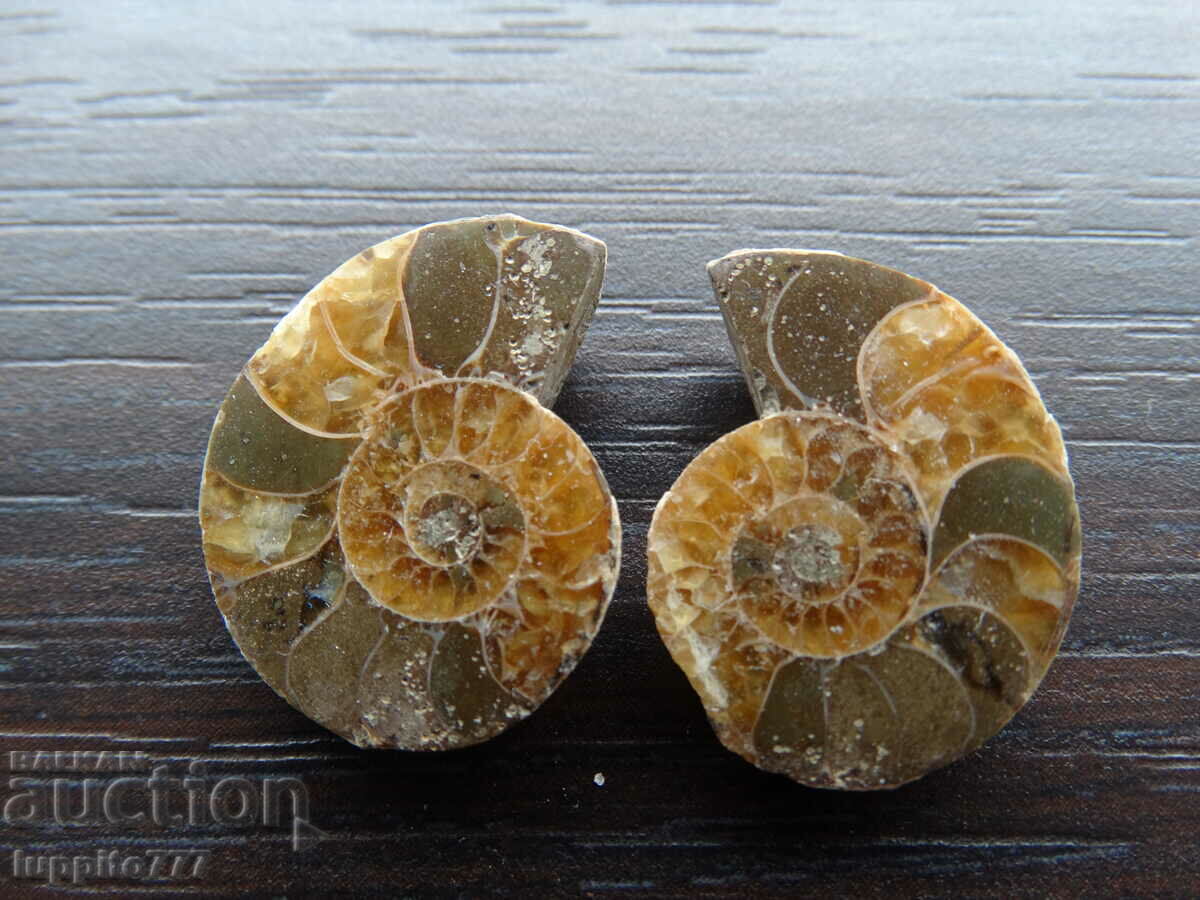37.55 k natural ammonite Jurassic 2 pcs. a pair with price 59.00 BGN | € 30.17 37.55 k natural ammonite Jurassic 2 pcs. a pair with price 59.00 BGN | € 30.17