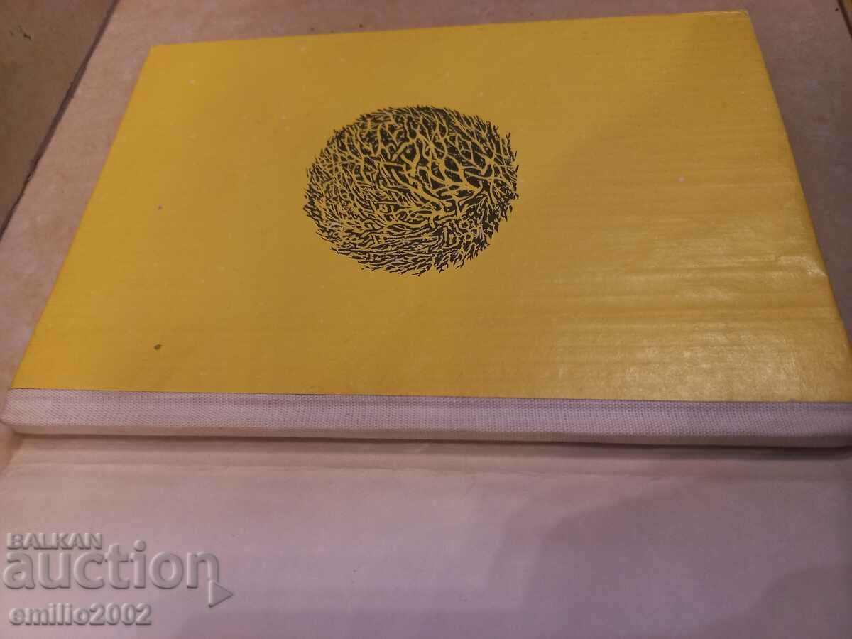 Auction Intra - Nedyalka Mihova Auction Intra - Nedyalka Mihova