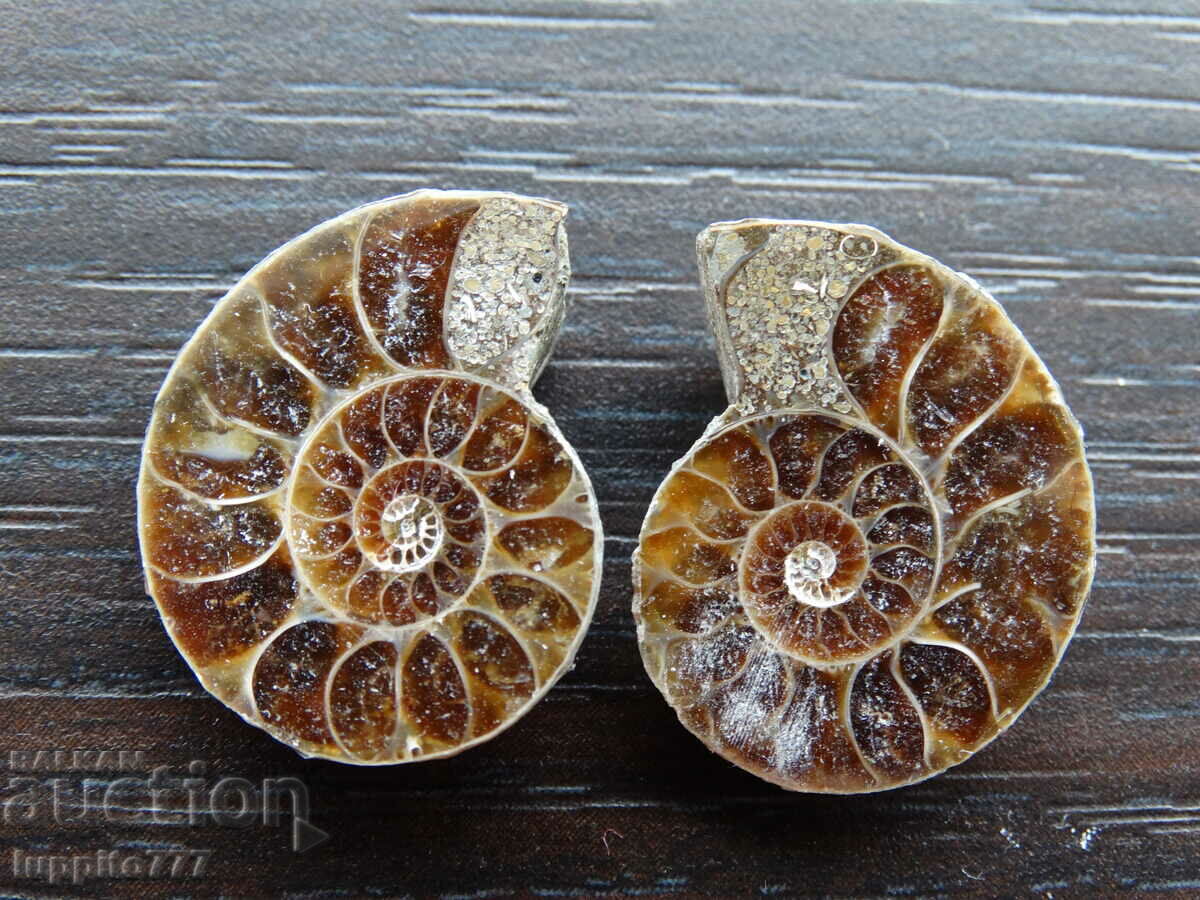 35.45 k natural ammonite Jurassic 2 pcs. a pair with price 59.00 BGN | € 30.17 35.45 k natural ammonite Jurassic 2 pcs. a pair with price 59.00 BGN | € 30.17