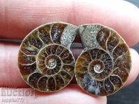 35.45 k natural ammonite Jurassic 2 pcs. a pair