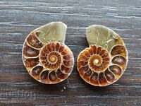27.20 k natural ammonite Jurassic 2 pcs. a pair