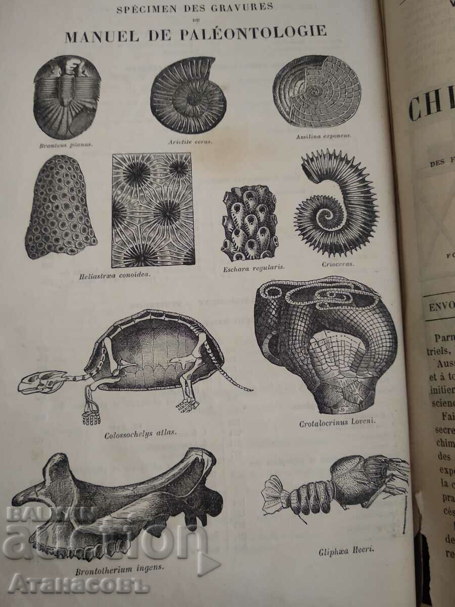 Licitație Cours de Mineralogie 1890 Seal Tugra