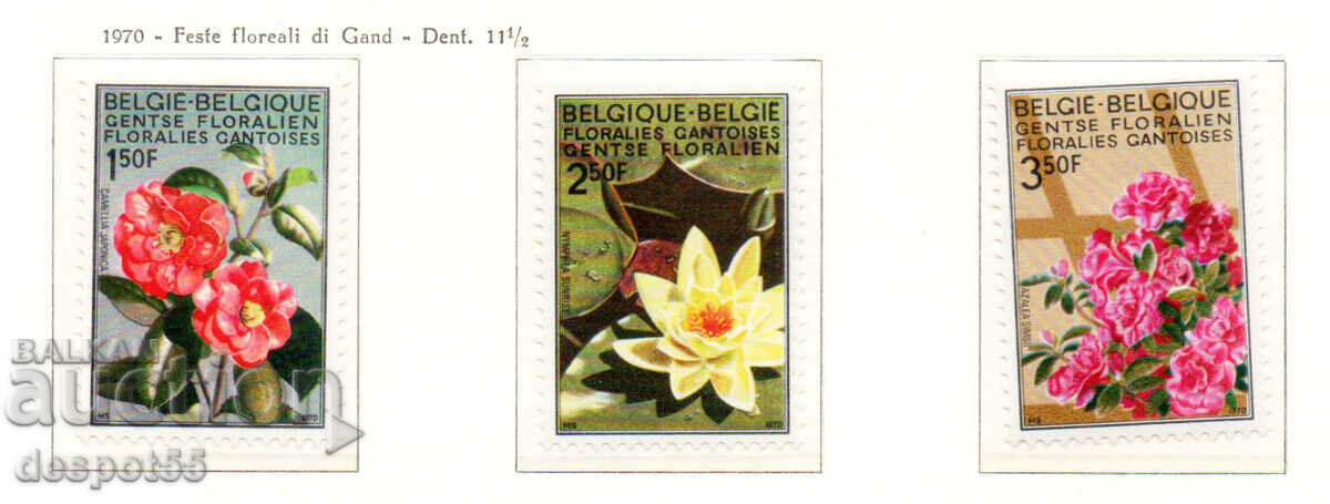 1970. Belgia. Flori - Grădina Botanică din Gent.