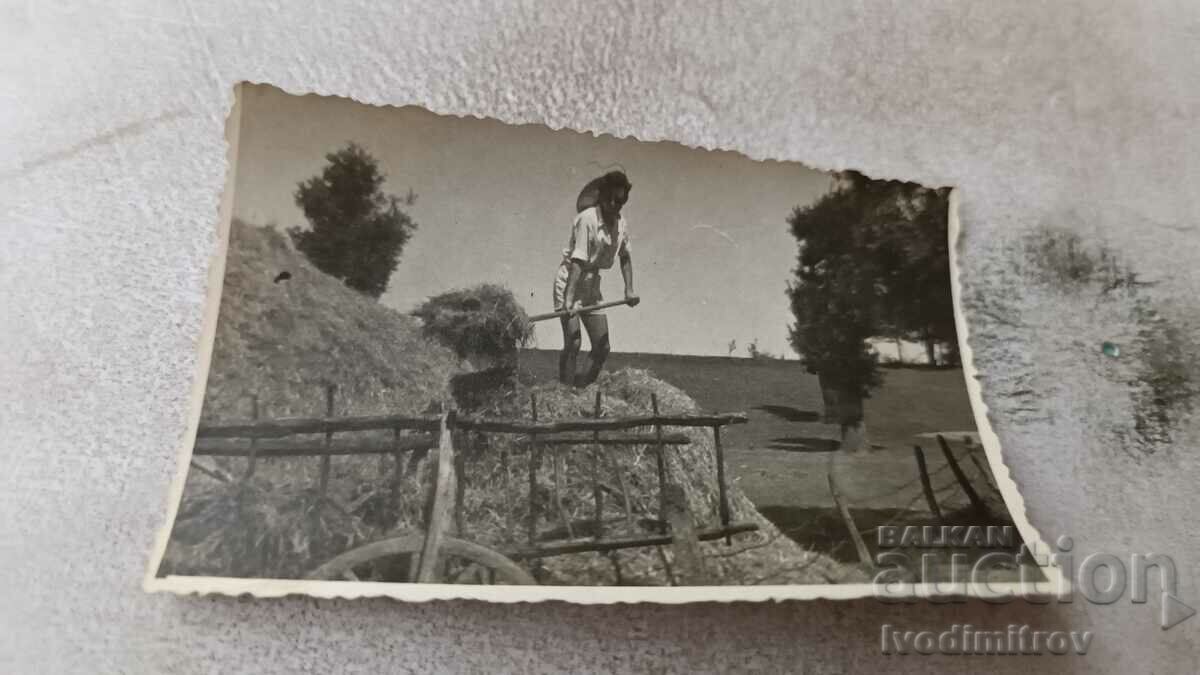 Снимка Мъж товари сено на каруца