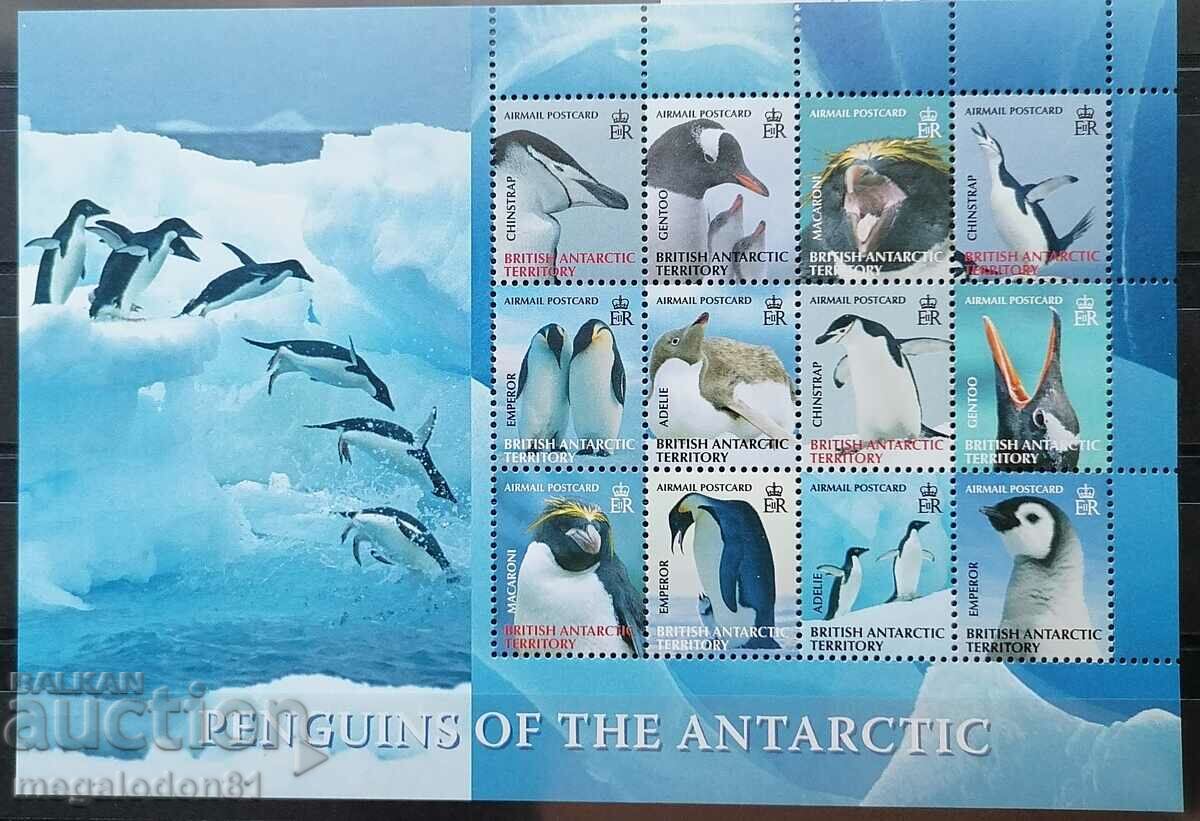 Antarctica britanică (BAT) - pinguini