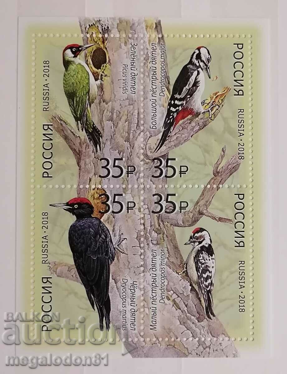 Russia - fauna, woodpeckers