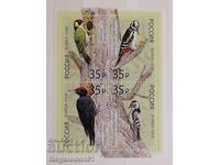 Rusia - fauna, ciocănitoare