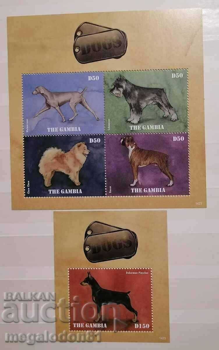 Gambia - dogs