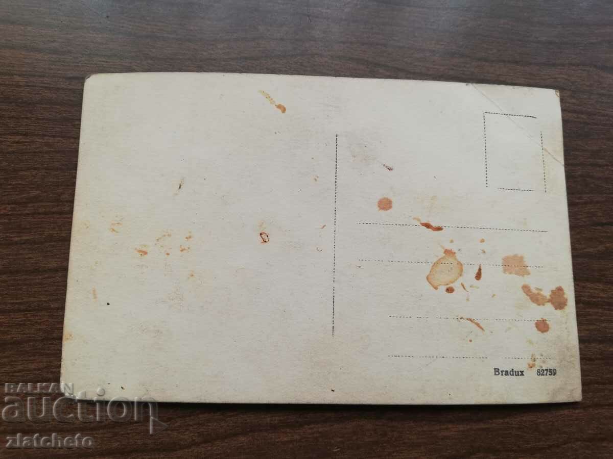 Auction  Old photo Kingdom of Bulgaria -