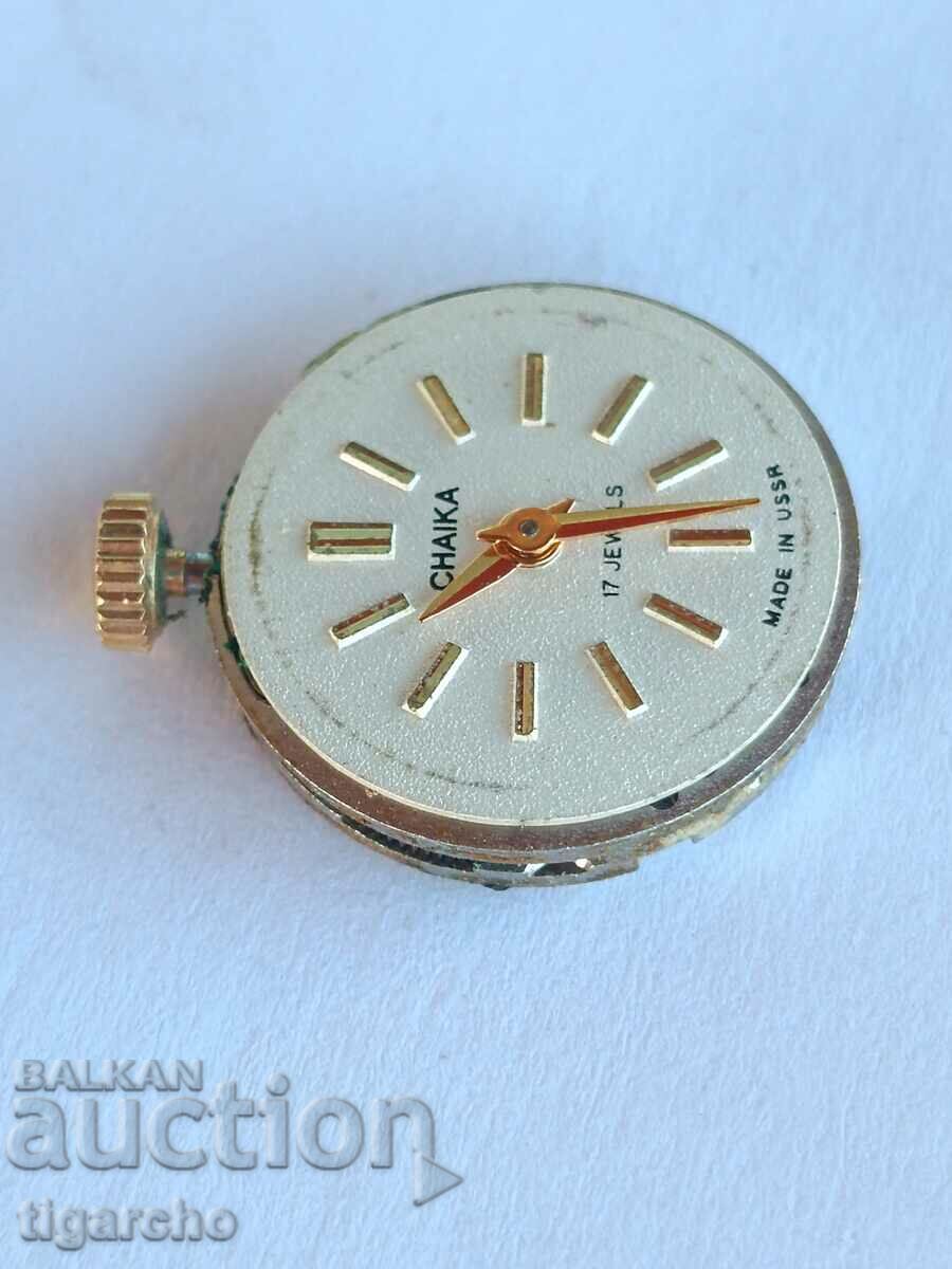 Δημοπρασία κυρίες μαλλιά παρακολουθήσετε Γλάρος Δημοπρασία κυρίες μαλλιά παρακολουθήσετε Γλάρος