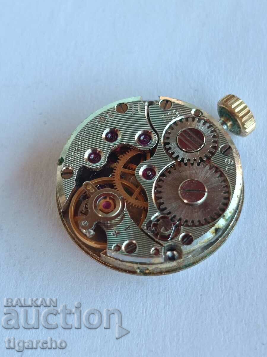 Παράδοση κυρίες μαλλιά παρακολουθήσετε Γλάρος Παράδοση κυρίες μαλλιά παρακολουθήσετε Γλάρος