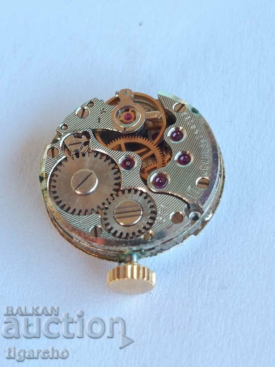 κυρίες μαλλιά παρακολουθήσετε Γλάρος - 5 κυρίες μαλλιά παρακολουθήσετε Γλάρος - 5