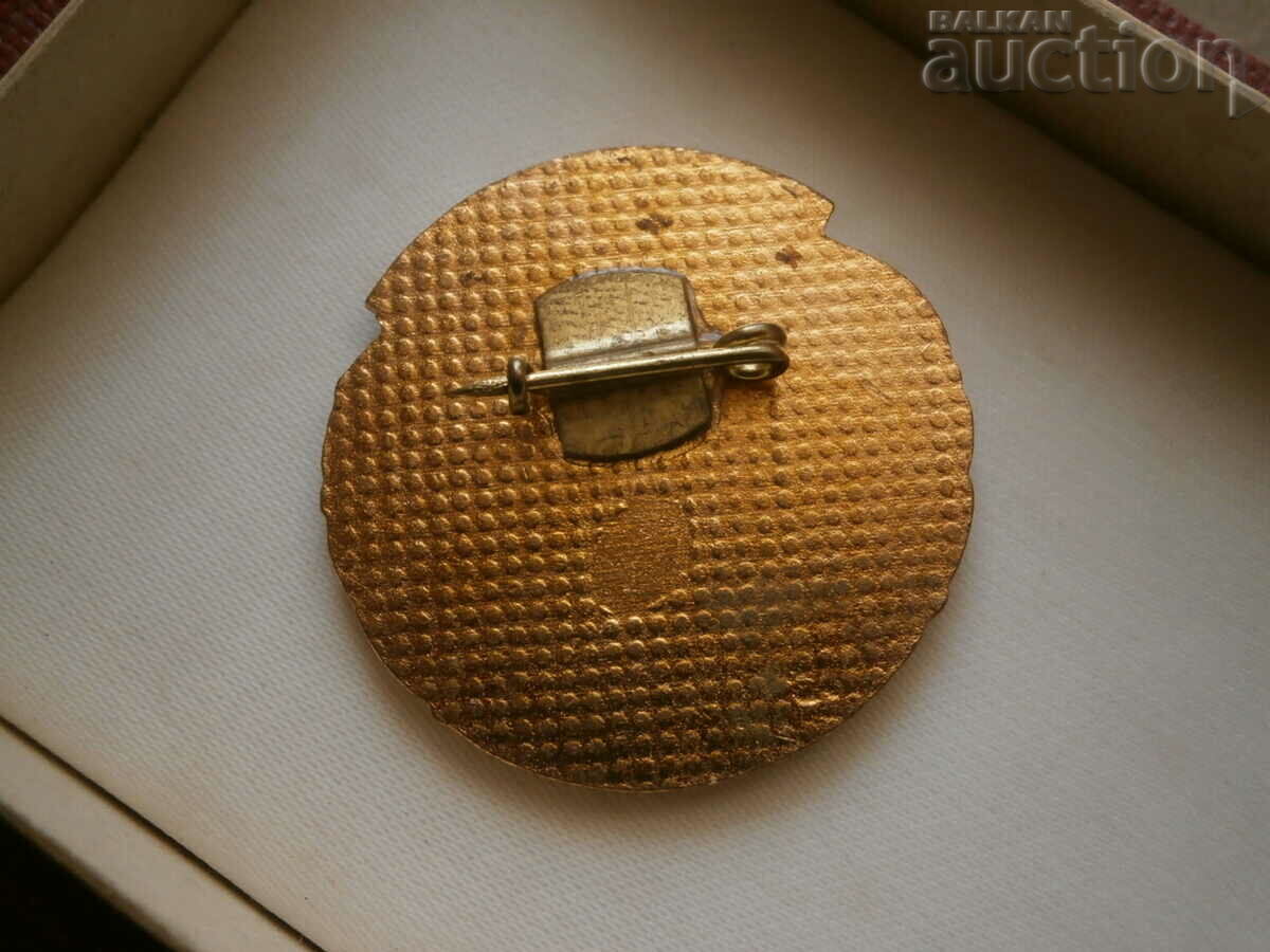 Delivery of Old Soc badge sign email Master of Sports PRC