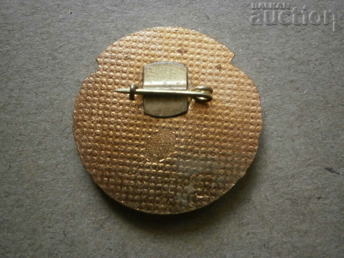 Old Soc badge sign email Master of Sports PRC - 7