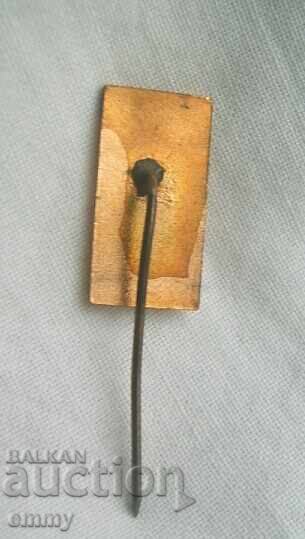Auction  Badge - 50 years of skiing in Bulgaria, 1969, Enamel