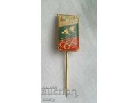 Insigna Jocurilor Olimpice Lake Placid 1980, schi