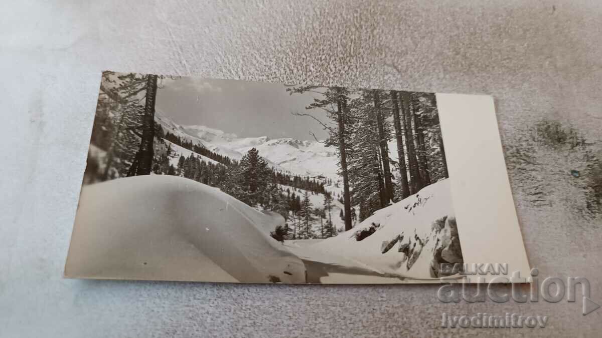 Postcard Winter Story