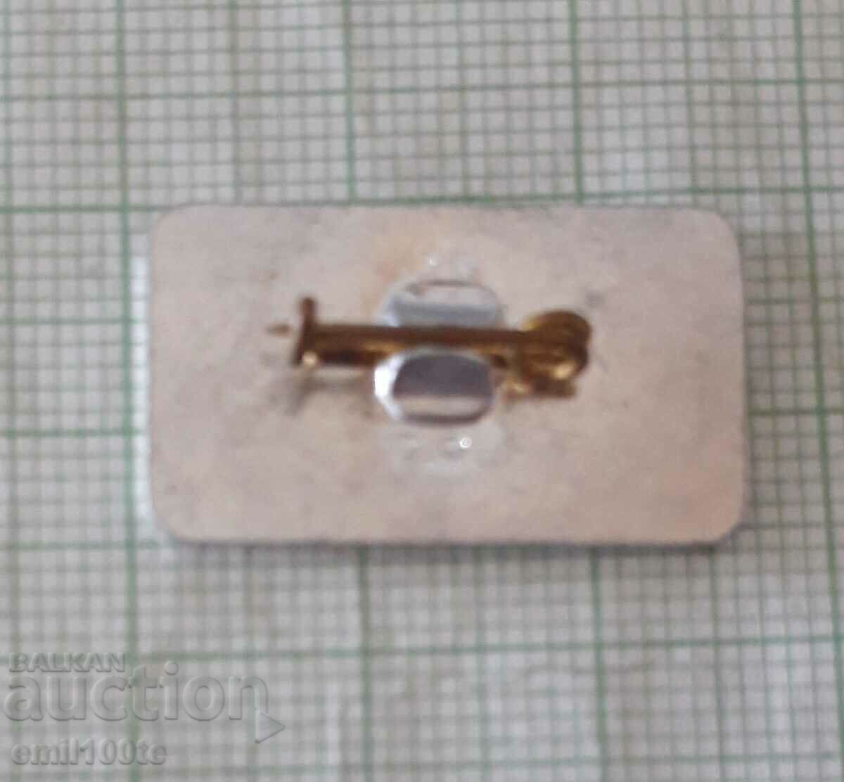 Delivery of Badge - Batak Delivery of Badge - Batak