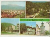 Картичка  България  Берковица 1*