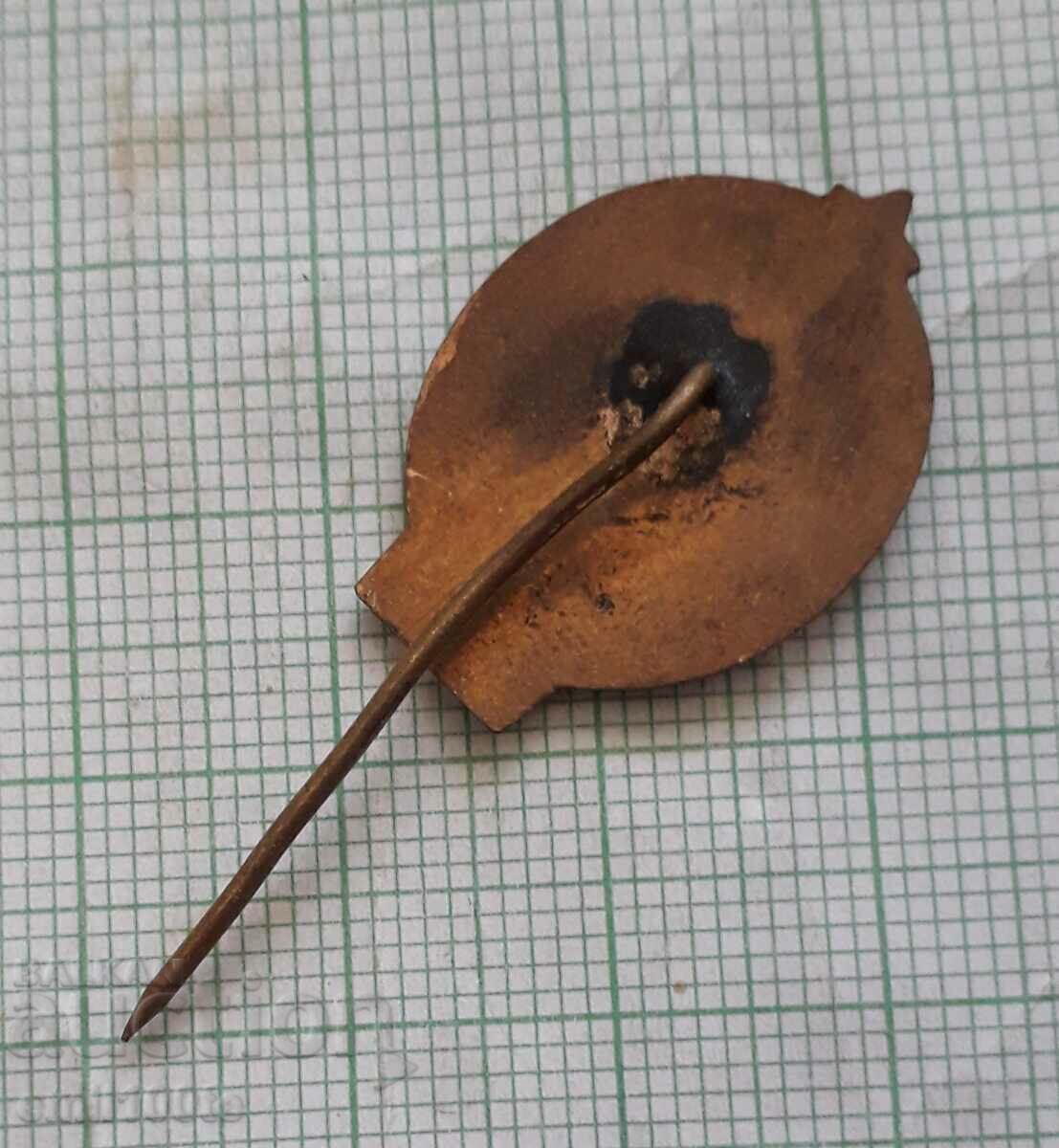 Παράδοση Σήμα - Buzludzhan Congress 1891