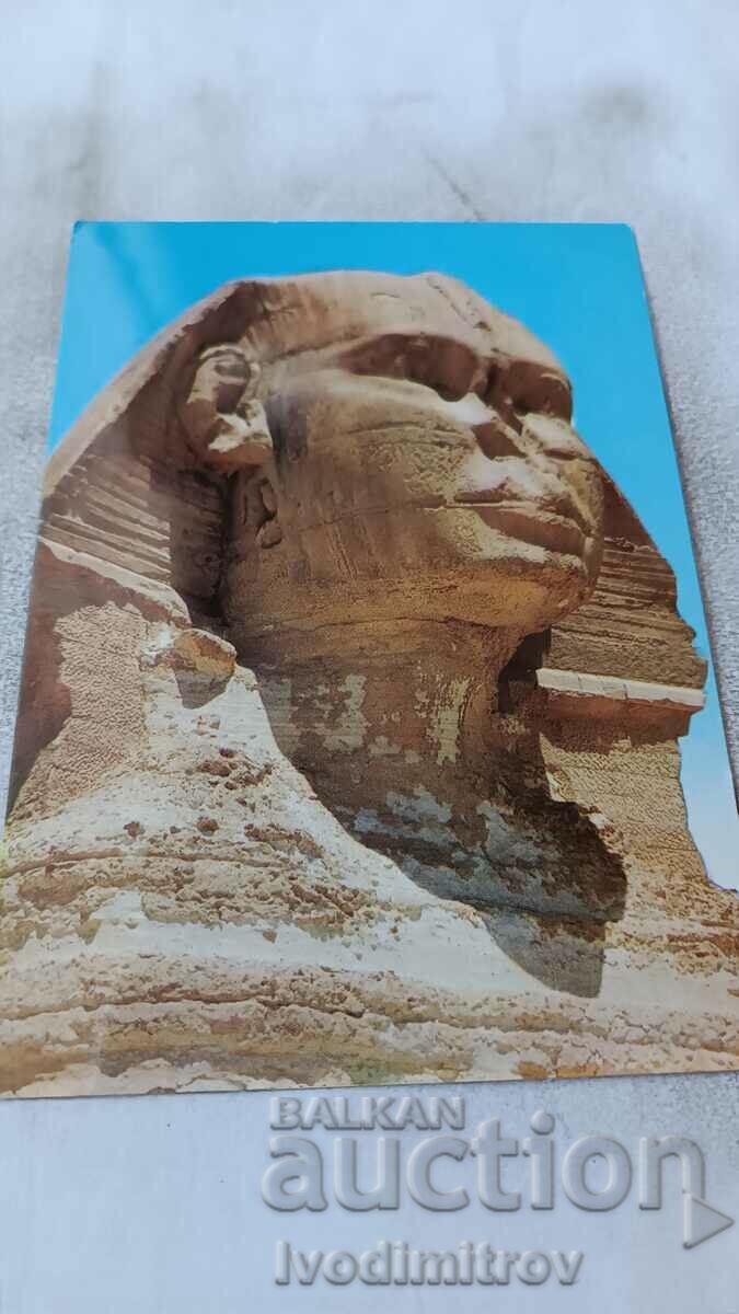 Пощенска картичка Giza The Sphinx