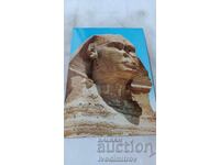 Postcard Giza The Sphinx