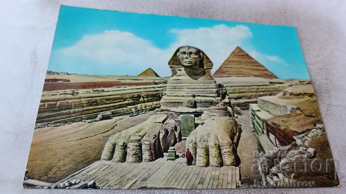 Carte poștală Marele Sfinx din Giza