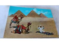 Cartea poștală Grupul Piramidelor din Giza