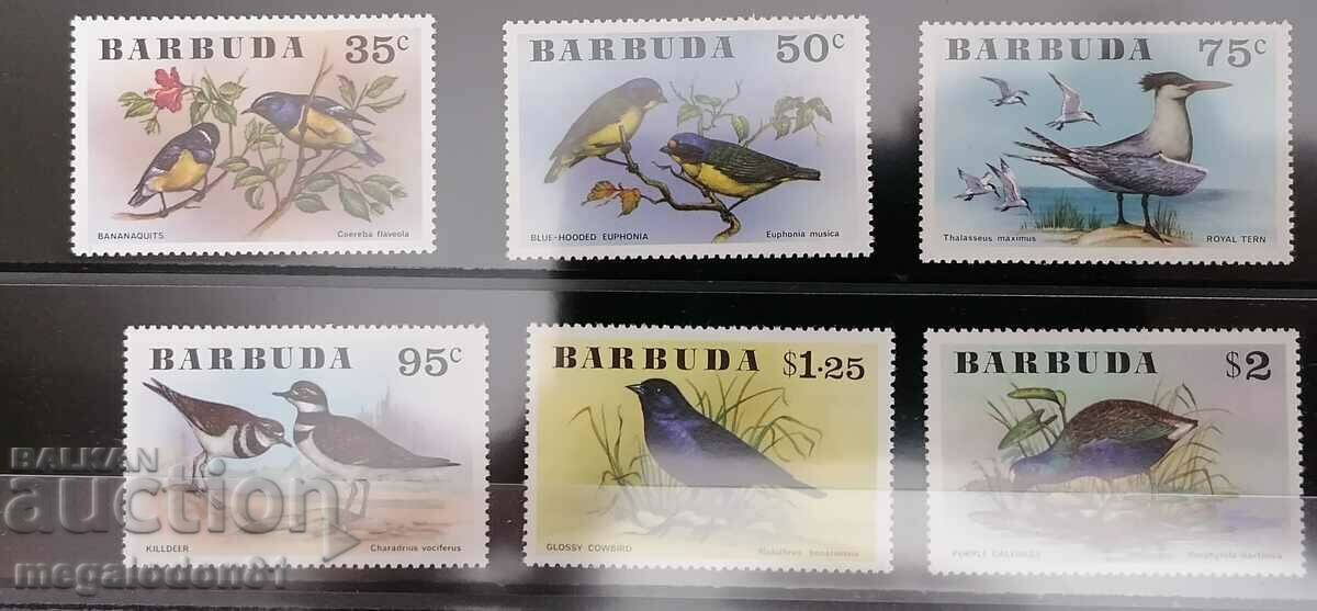 Barbuda - fauna, birds