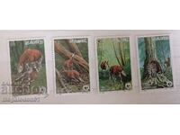 Zaire - fauna, okapi