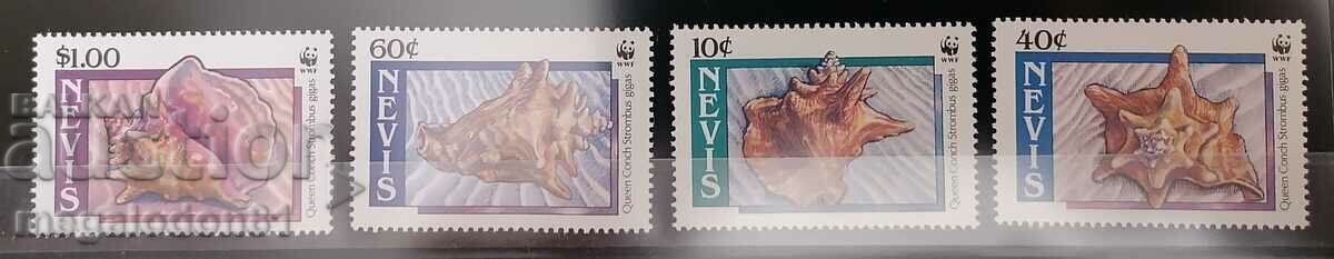 Nevis - fauna WWF, scoici