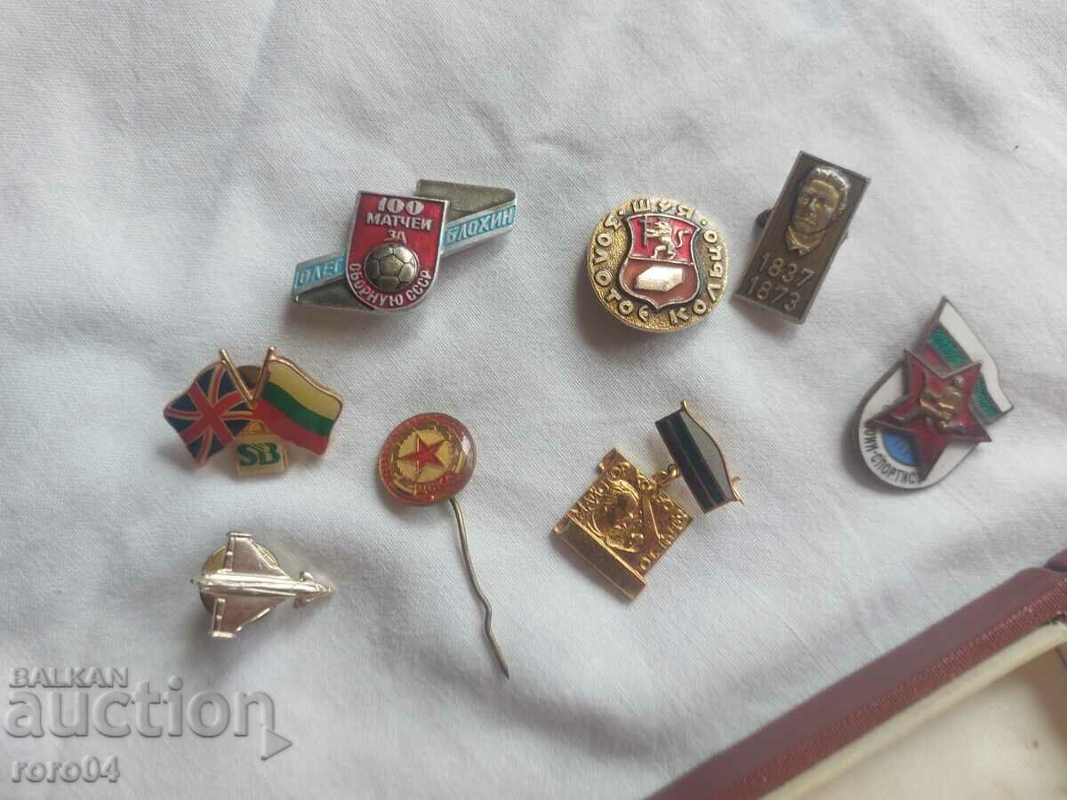 Livrarea BADGES - CUTIE - SBIRSTEIN