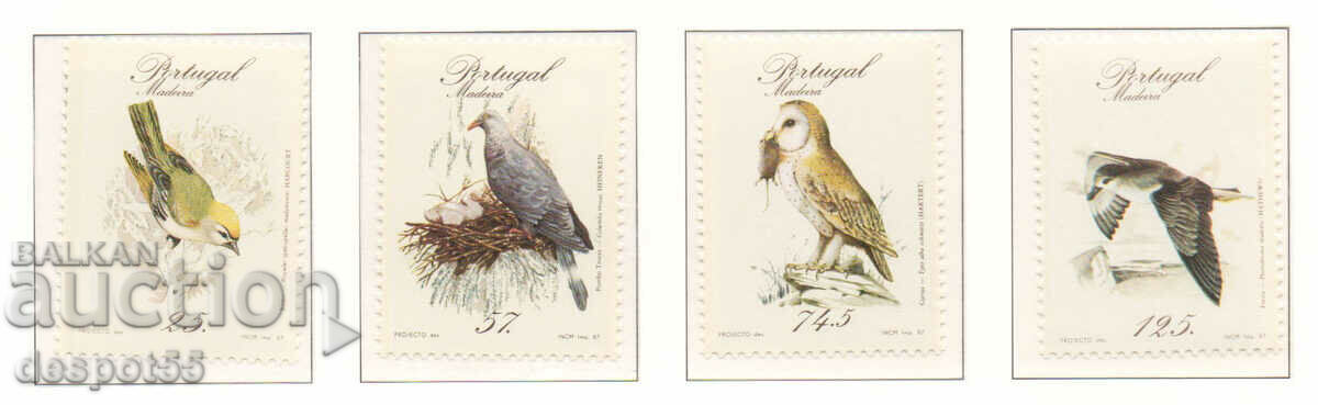 1987. Madeira. Păsări rare.