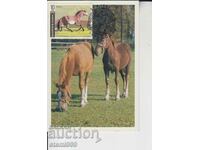 Post card maximum Horses