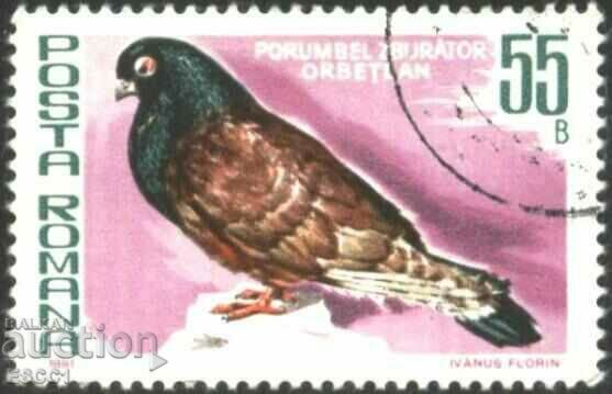 Stamp Fauna Bird Pigeon 1981 from Romania