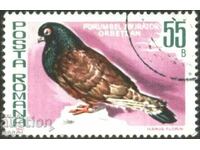 Kлеймована марка Фауна Птица Гълъб 1981 от  Румъния