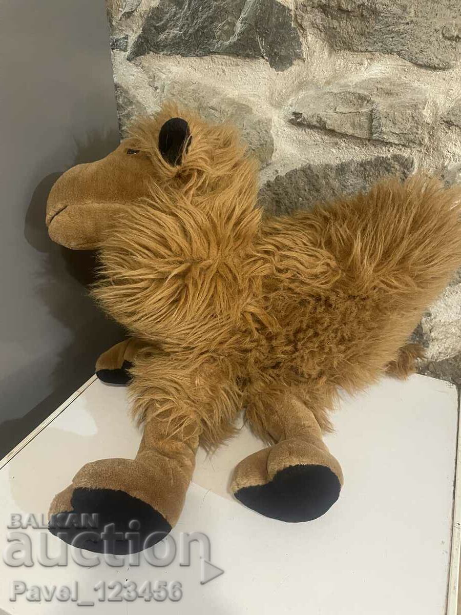 cămilă cu preț € 5.00 | 9.78 BGN