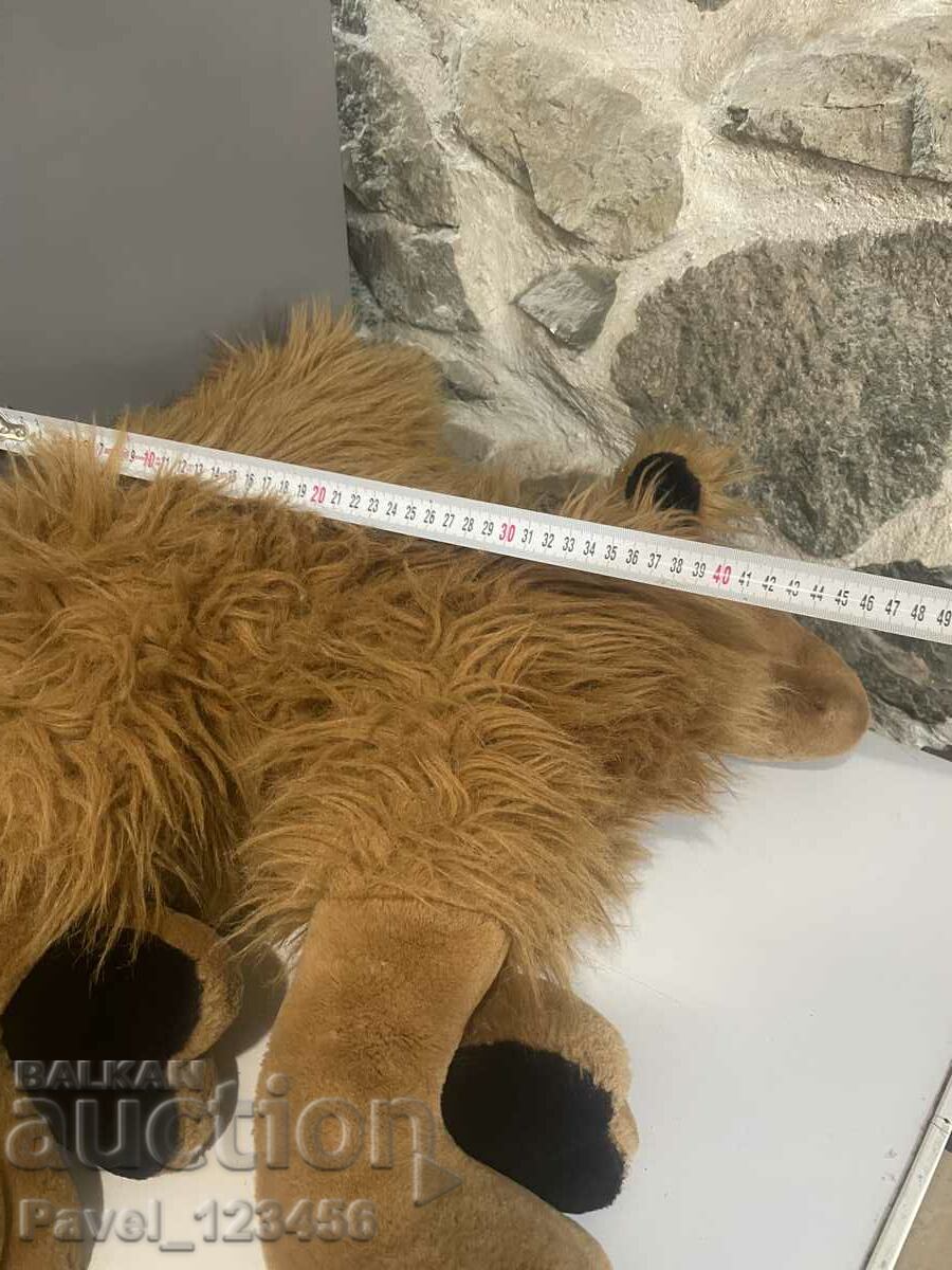 Аукцион Камила Аукцион Камила