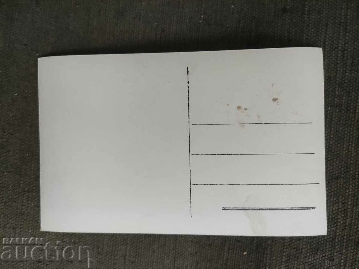 Στολή Pleven με τιμή 100.00 BGN | € 51.13 Στολή Pleven με τιμή 100.00 BGN | € 51.13