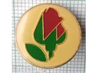 12639 Badge - BSP Bulgarian Socialist Party