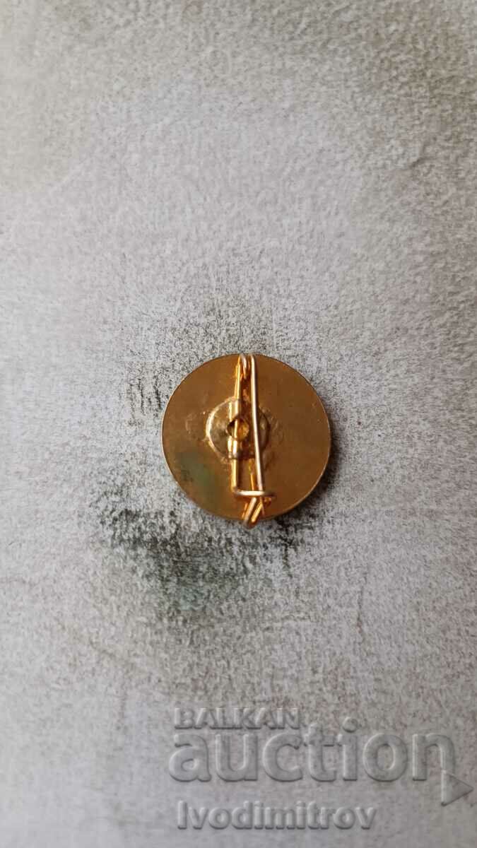 PEGASUS badge with price 2.75 BGN | € 1.41 PEGASUS badge with price 2.75 BGN | € 1.41