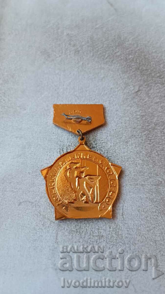 Chisinau Liberation Badge 1944 - 1974 with price 2.45 BGN | € 1.25 Chisinau Liberation Badge 1944 - 1974 with price 2.45 BGN | € 1.25